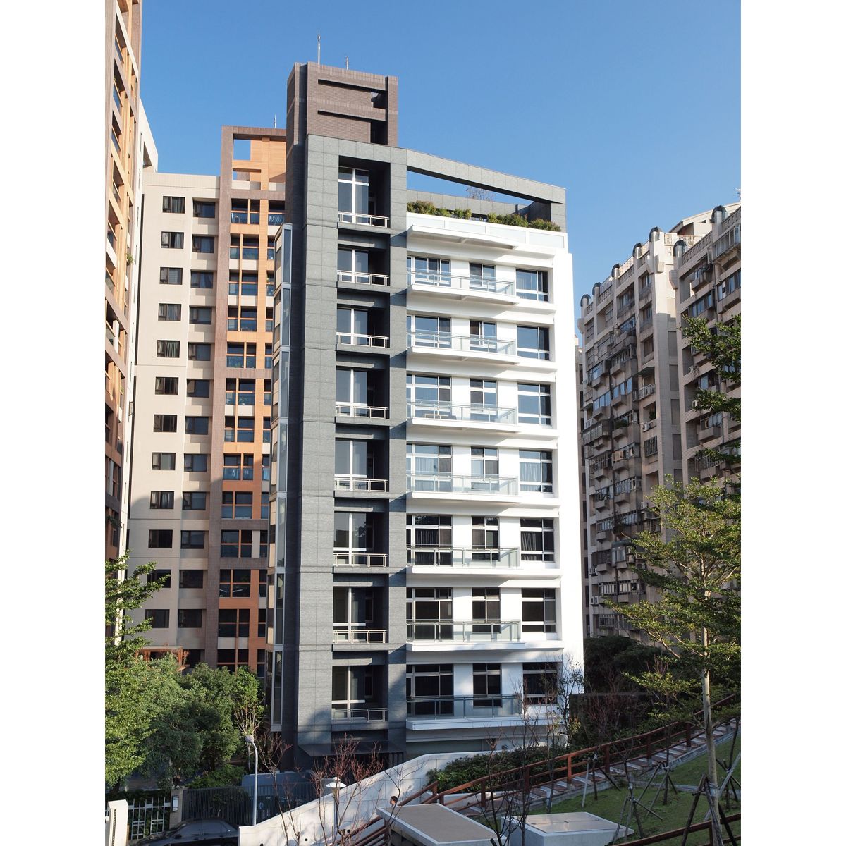 樸樹-2